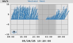 Wind Vector