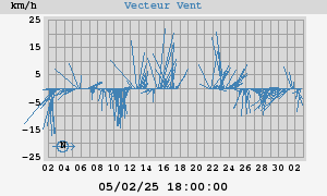 Wind Vector