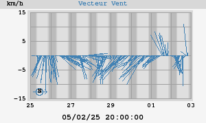 Wind Vector